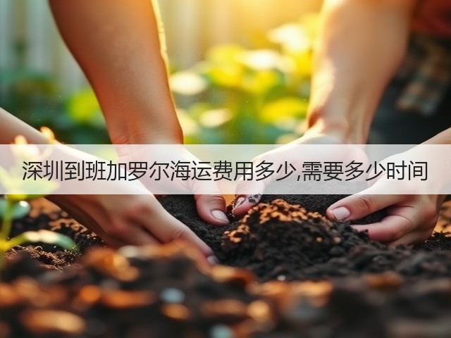 深圳到班加罗尔海运费用多少,需要多少时间(图3)