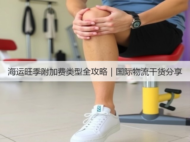 海运旺季附加费类型全攻略|国际物流干货分享(图1) 海运旺季附加费类型全攻略|国际物流干货分享(图1)