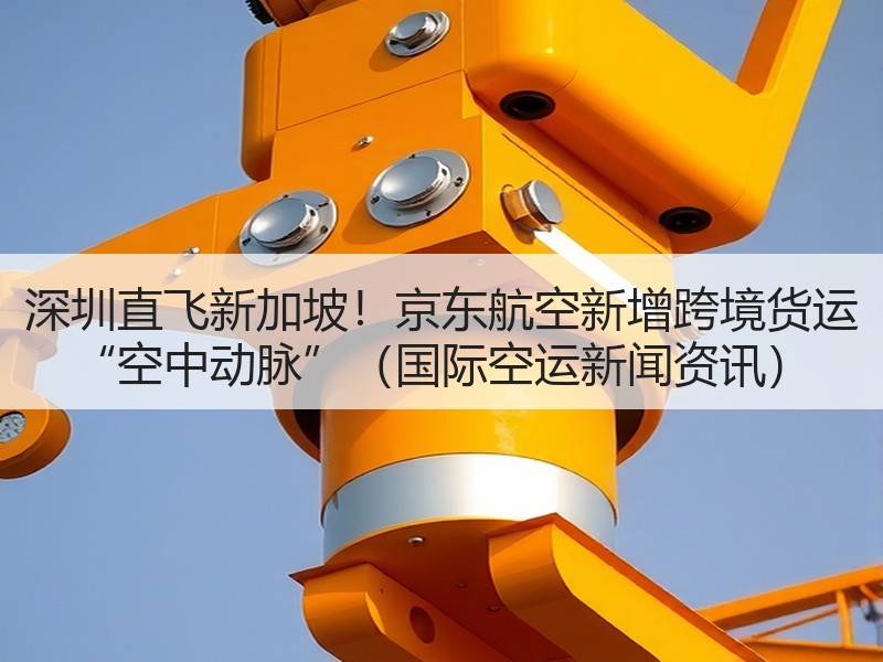 深圳直飞新加坡!京东航空新增跨境货运 “空中动脉”(国际空运新闻资讯) 深圳直飞新加坡!京东航空新增跨境货运 “空中动脉”(国际空运新闻资讯)