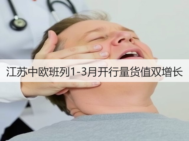 江苏中欧班列1-3月开行量货值双增长(图2) 江苏中欧班列1-3月开行量货值双增长(图2)