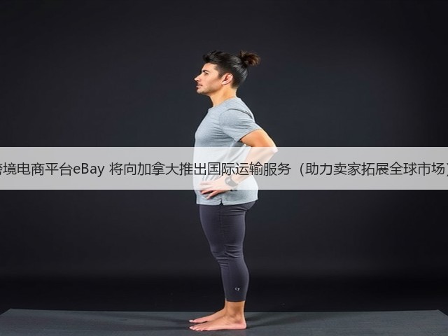 跨境电商平台eBay 将向加拿大推出国际运输服务(助力卖家拓展全球市场)(图1) 跨境电商平台eBay 将向加拿大推出国际运输服务(助力卖家拓展全球市场)(图1)