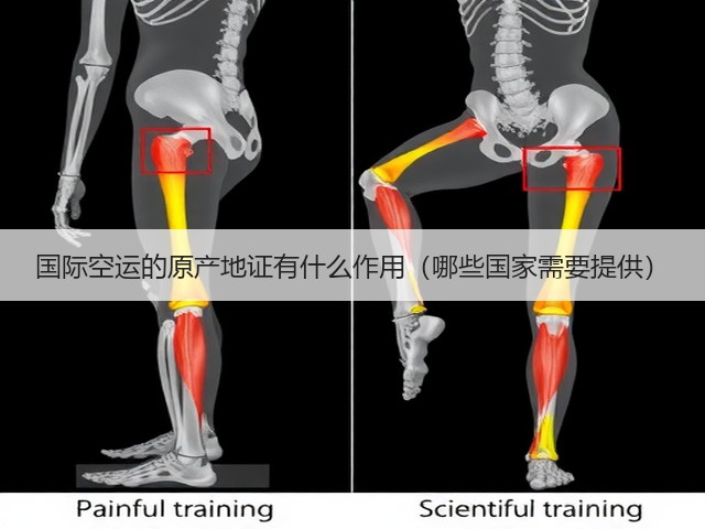 国际空运的原产地证有什么作用(哪些国家需要提供)(图3) 国际空运的原产地证有什么作用(哪些国家需要提供)(图3)