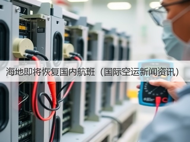 海地即将恢复国内航班（国际空运新闻资讯）(图1)