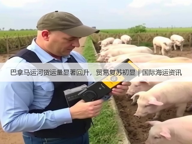 巴拿马运河货运量显著回升,贸易复苏初显|国际海运资讯(图2) 巴拿马运河货运量显著回升,贸易复苏初显|国际海运资讯(图2)