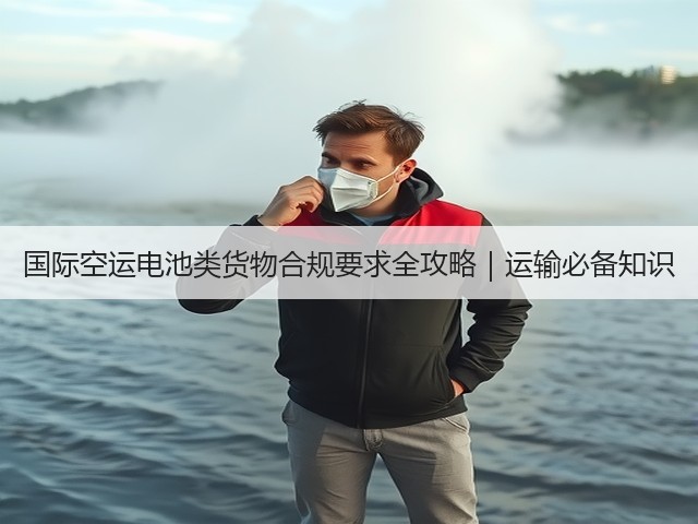 国际空运电池类货物合规要求全攻略|运输必备知识(图3) 国际空运电池类货物合规要求全攻略|运输必备知识(图3)