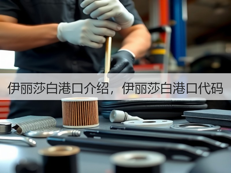 伊丽莎白港口介绍，伊丽莎白港口代码