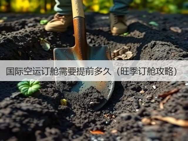 国际空运订舱需要提前多久(旺季订舱攻略)(图1) 国际空运订舱需要提前多久(旺季订舱攻略)(图1)