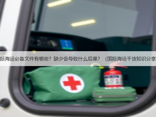 国际海运必备文件有哪些?缺少会导致什么后果?(国际海运干货知识分享)(图1) 国际海运必备文件有哪些?缺少会导致什么后果?(国际海运干货知识分享)(图1)