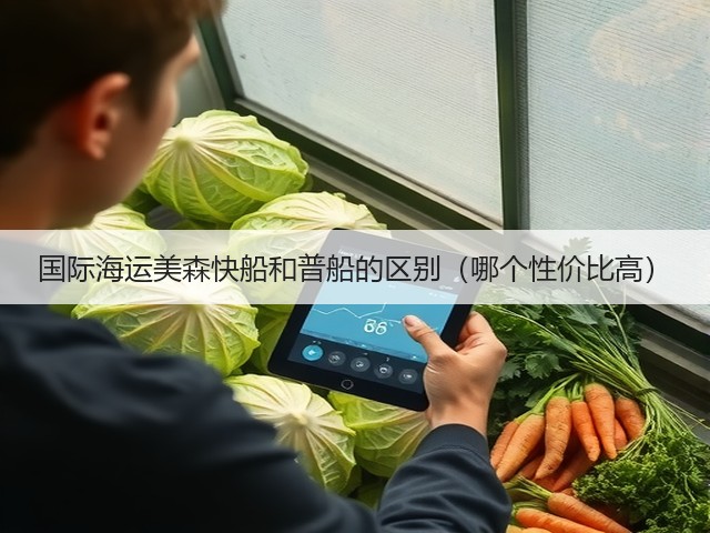 国际海运美森快船和普船的区别(哪个性价比高)(图3) 国际海运美森快船和普船的区别(哪个性价比高)(图3)