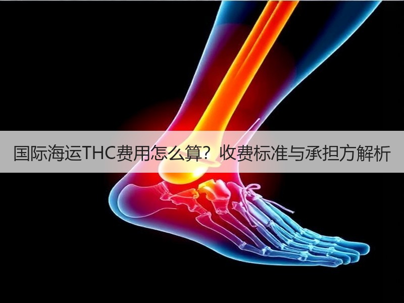国际海运THC费用怎么算？收费标准与承担方解析