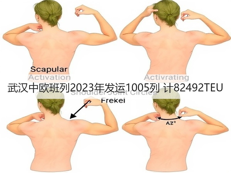 武汉中欧班列2023年发运1005列 计82492TEU