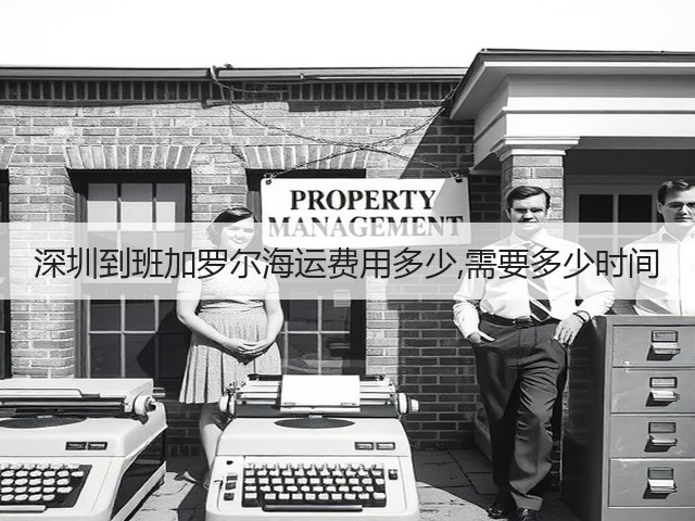 深圳到班加罗尔海运费用多少,需要多少时间(图3) 深圳到班加罗尔海运费用多少,需要多少时间(图3)