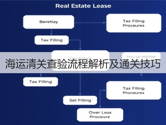海运清关查验流程解析及通关技巧(图1) 海运清关查验流程解析及通关技巧(图1)