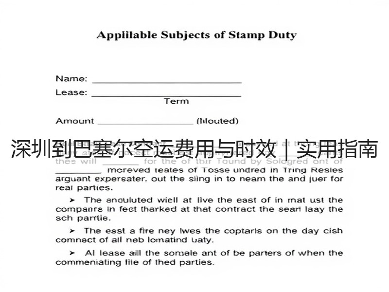 深圳到巴塞尔空运费用与时效|实用指南 深圳到巴塞尔空运费用与时效|实用指南