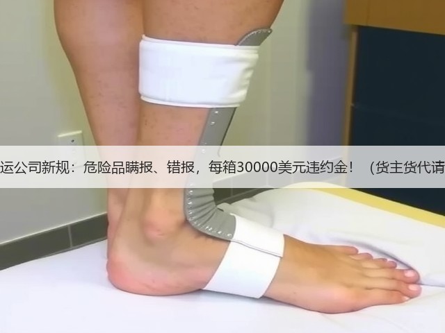 国际海运公司新规:危险品瞒报、错报,每箱30000美元违约金!(货主货代请注意)(图3) 国际海运公司新规:危险品瞒报、错报,每箱30000美元违约金!(货主货代请注意)(图3)