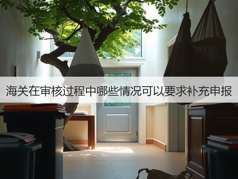 海关在审核过程中哪些情况可以要求补充申报