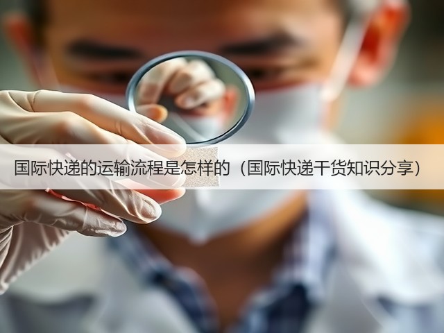 国际快递的运输流程是怎样的(国际快递干货知识分享)(图2) 国际快递的运输流程是怎样的(国际快递干货知识分享)(图2)