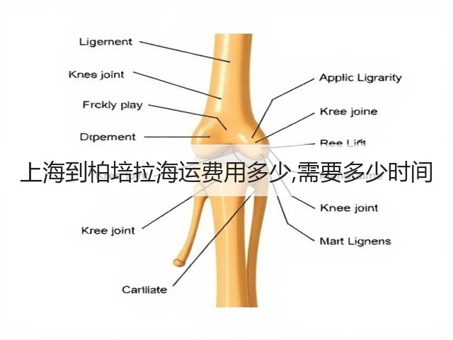 上海到柏培拉海运费用多少,需要多少时间(图3)