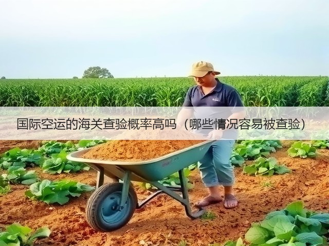国际空运的海关查验概率高吗(哪些情况容易被查验)(图3) 国际空运的海关查验概率高吗(哪些情况容易被查验)(图3)