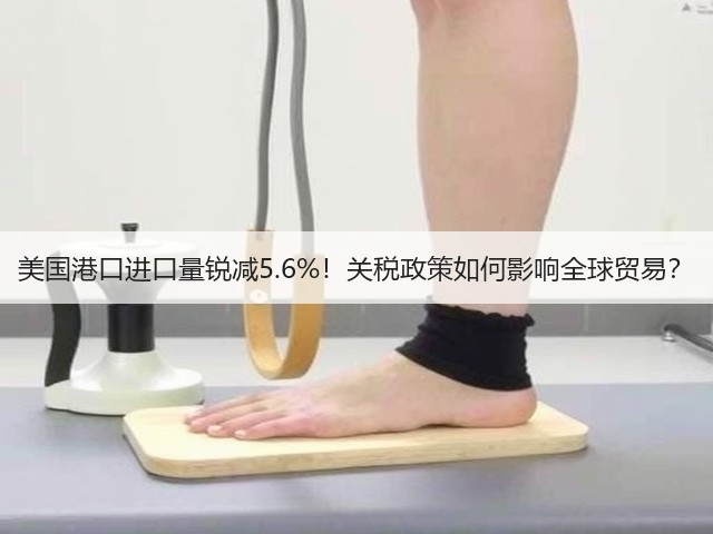 美国港口进口量锐减5.6%！关税政策如何影响全球贸易？(图3)