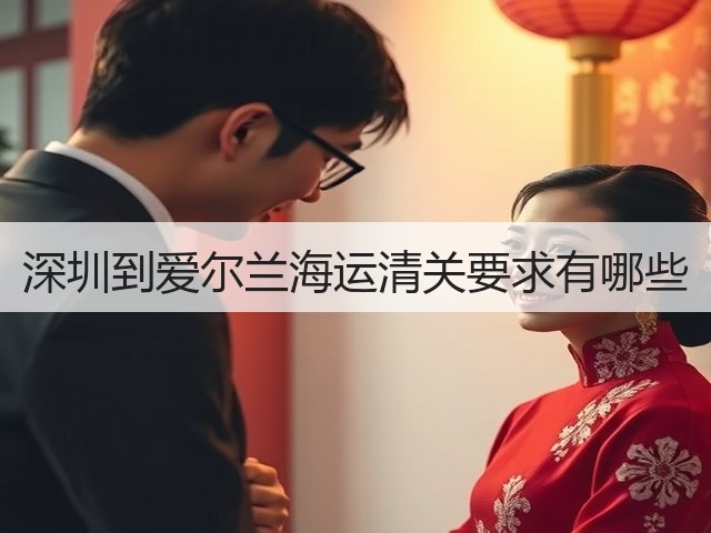 深圳到爱尔兰海运清关要求有哪些(图1)