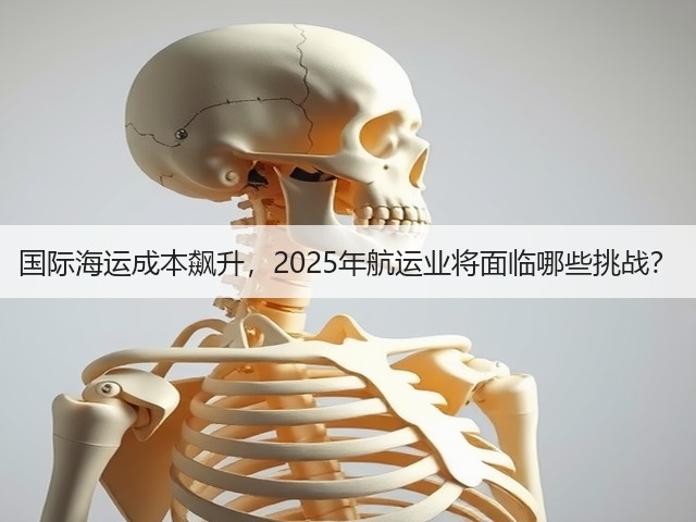 国际海运成本飙升,2025年航运业将面临哪些挑战?(图2) 国际海运成本飙升,2025年航运业将面临哪些挑战?(图2)