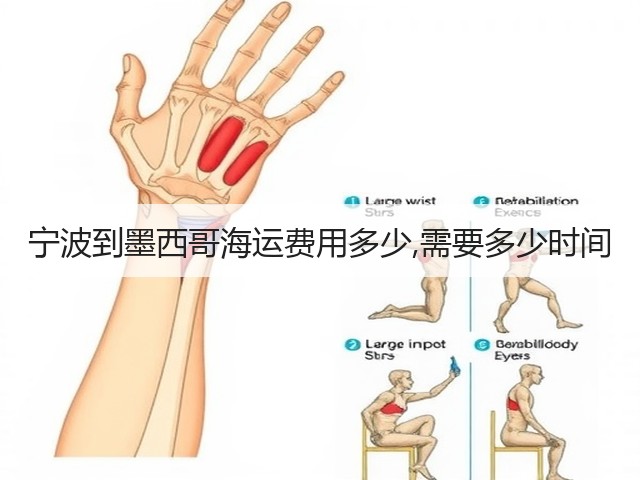 宁波到墨西哥海运费用多少,需要多少时间(图1) 宁波到墨西哥海运费用多少,需要多少时间(图1)