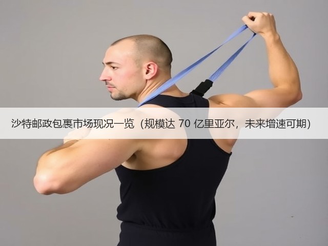 沙特邮政包裹市场现况一览(规模达 70 亿里亚尔,未来增速可期)(图2) 沙特邮政包裹市场现况一览(规模达 70 亿里亚尔,未来增速可期)(图2)