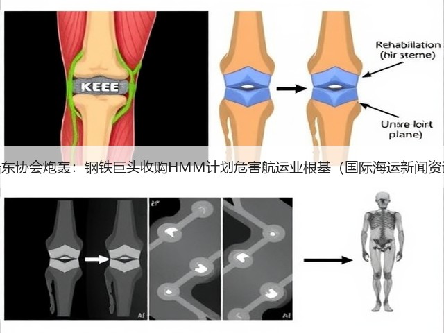 韩船东协会炮轰:钢铁巨头收购HMM计划危害航运业根基(国际海运新闻资讯)(图2) 韩船东协会炮轰:钢铁巨头收购HMM计划危害航运业根基(国际海运新闻资讯)(图2)