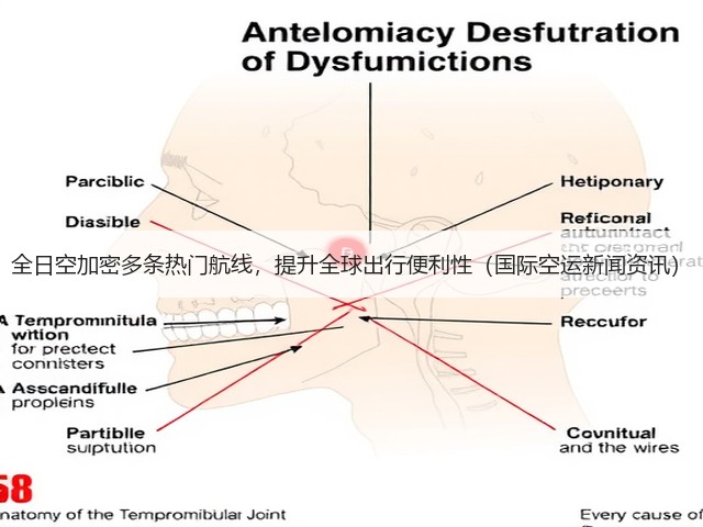 全日空加密多条热门航线,提升全球出行便利性(国际空运新闻资讯)(图2) 全日空加密多条热门航线,提升全球出行便利性(国际空运新闻资讯)(图2)