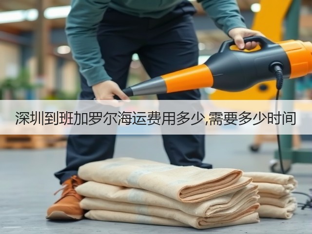 深圳到班加罗尔海运费用多少,需要多少时间(图3) 深圳到班加罗尔海运费用多少,需要多少时间(图3)
