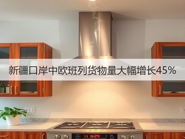 新疆口岸中欧班列货物量大幅增长45%(图2)