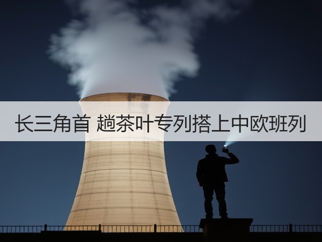长三角首 趟茶叶专列搭上中欧班列(图2) 长三角首 趟茶叶专列搭上中欧班列(图2)