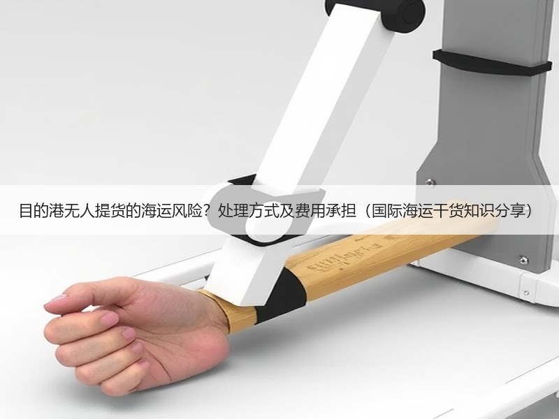 目的港无人提货的海运风险？处理方式及费用承担（国际海运干货知识分享）