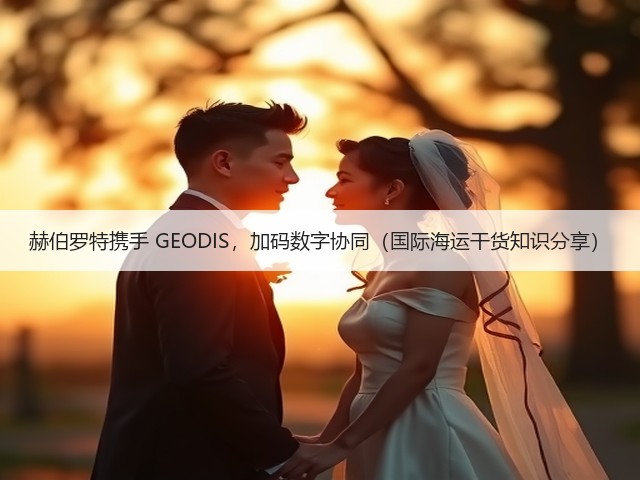 赫伯罗特携手 GEODIS,加码数字协同(国际海运干货知识分享)(图2) 赫伯罗特携手 GEODIS,加码数字协同(国际海运干货知识分享)(图2)