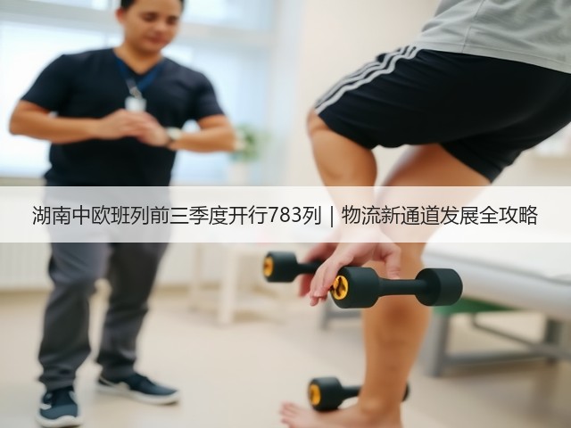 湖南中欧班列前三季度开行783列|物流新通道发展全攻略(图3) 湖南中欧班列前三季度开行783列|物流新通道发展全攻略(图3)