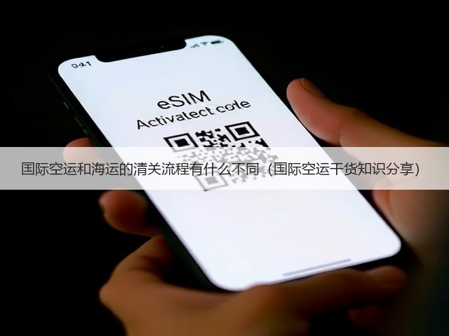 国际空运和海运的清关流程有什么不同(国际空运干货知识分享)(图2) 国际空运和海运的清关流程有什么不同(国际空运干货知识分享)(图2)