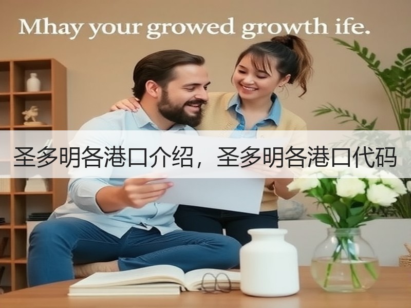 圣多明各港口介绍，圣多明各港口代码