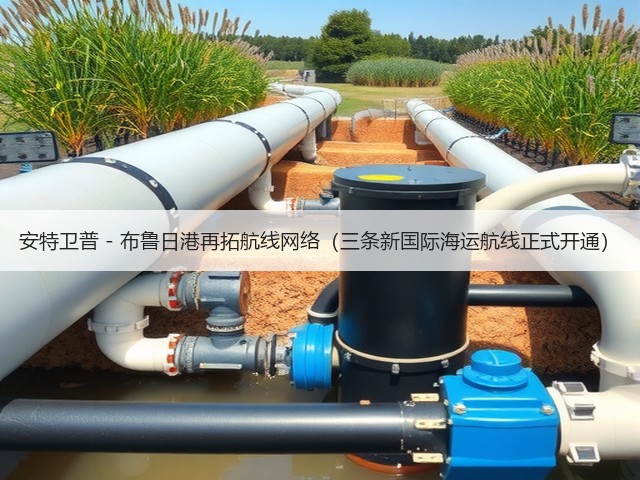 安特卫普 - 布鲁日港再拓航线网络(三条新国际海运航线正式开通)(图3) 安特卫普 - 布鲁日港再拓航线网络(三条新国际海运航线正式开通)(图3)