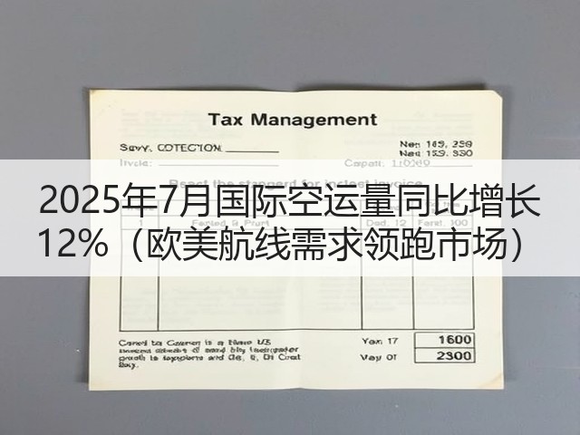2025年7月国际空运量同比增长 12%(欧美航线需求领跑市场)(图1) 2025年7月国际空运量同比增长 12%(欧美航线需求领跑市场)(图1)