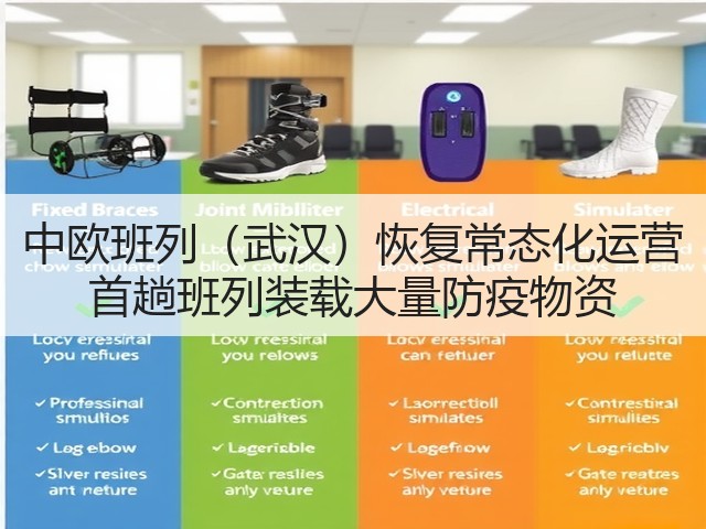 中欧班列(武汉)恢复常态化运营 首趟班列装载大量防疫物资(图3) 中欧班列(武汉)恢复常态化运营 首趟班列装载大量防疫物资(图3)