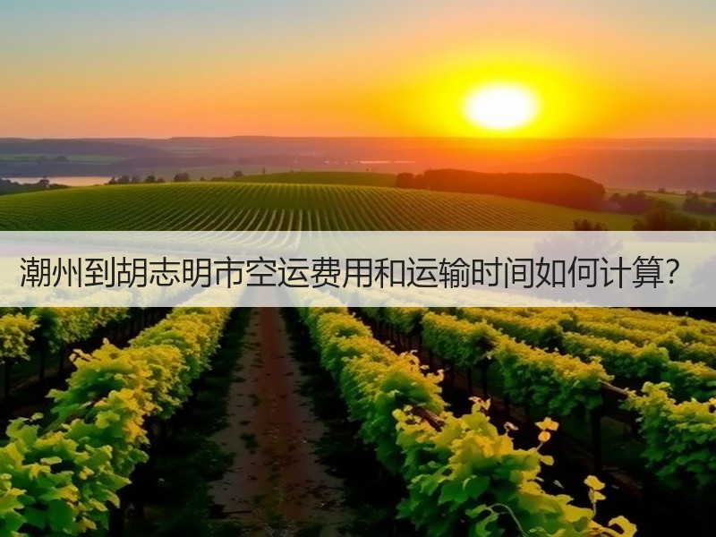 潮州到胡志明市空运费用和运输时间如何计算？
