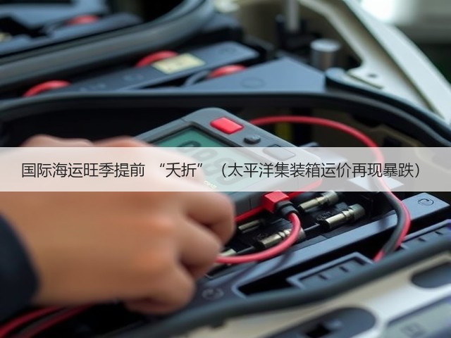 国际海运旺季提前 “夭折”(太平洋集装箱运价再现暴跌)(图3) 国际海运旺季提前 “夭折”(太平洋集装箱运价再现暴跌)(图3)