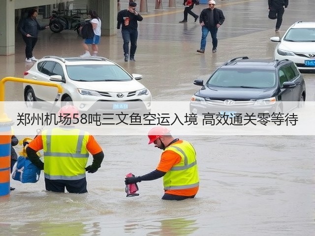 郑州机场58吨三文鱼空运入境 高效通关零等待(图1) 郑州机场58吨三文鱼空运入境 高效通关零等待(图1)