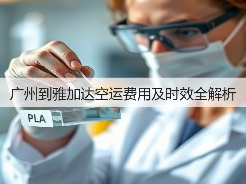 广州到雅加达空运费用及时效全解析 广州到雅加达空运费用及时效全解析