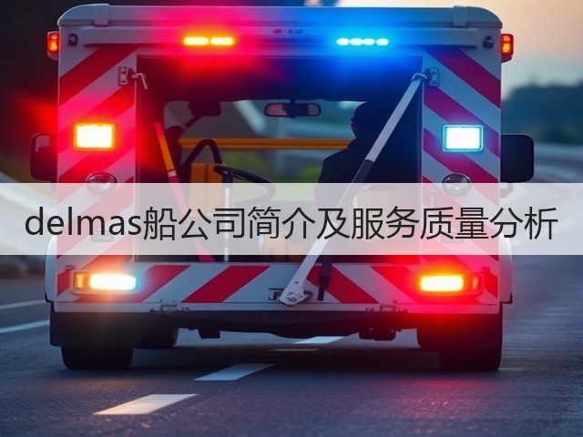 delmas船公司简介及服务质量分析(图1) delmas船公司简介及服务质量分析(图1)
