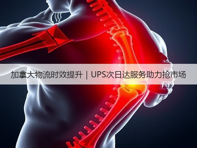 加拿大物流时效提升|UPS次日达服务助力抢市场(图1) 加拿大物流时效提升|UPS次日达服务助力抢市场(图1)