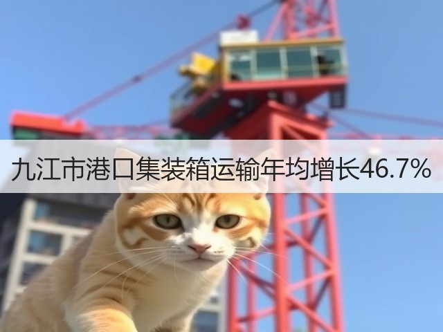 九江市港口集装箱运输年均增长46.7%(图3) 九江市港口集装箱运输年均增长46.7%(图3)