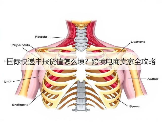 国际快递申报货值怎么填?跨境电商卖家全攻略(图2) 国际快递申报货值怎么填?跨境电商卖家全攻略(图2)