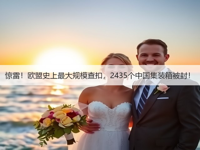惊雷！欧盟史上最大规模查扣，2435个中国集装箱被封！(图2)